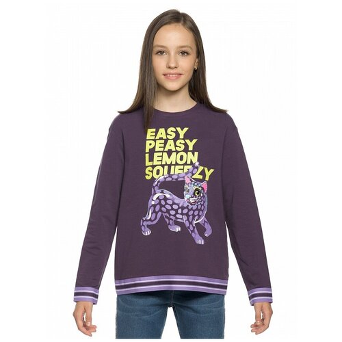 фото Толстовка д/дев pelican gfn4218/черника(48) р.122 рост 116-122