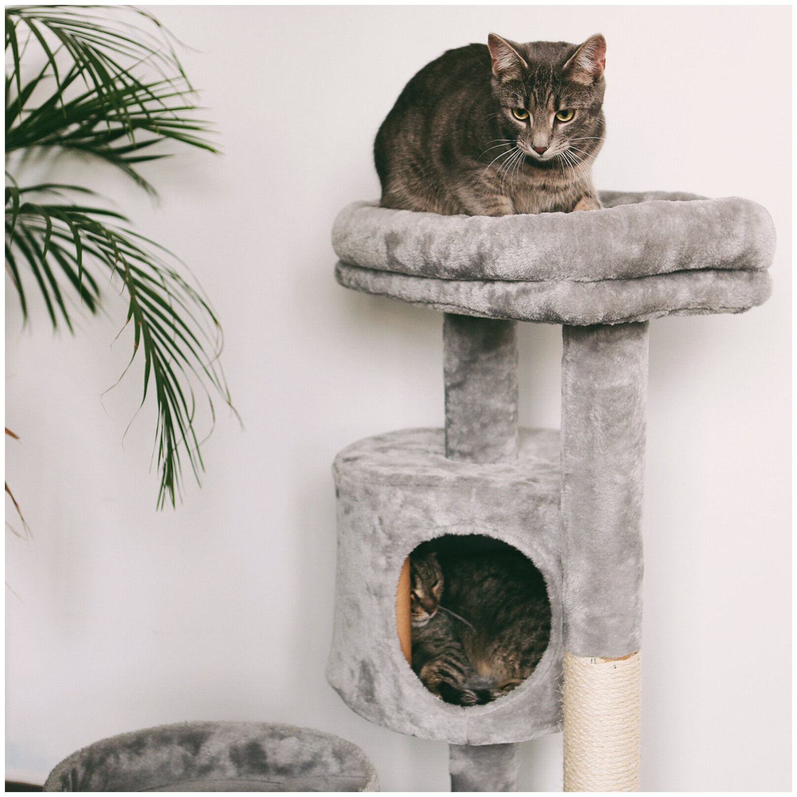 Дом-когтеточка для кошек, "Не Один Дома" BigHouse, серый - фотография № 9