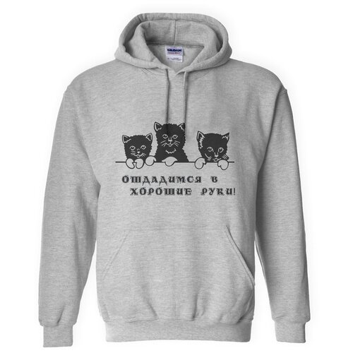 фото Толстовка худи серые coolpodarok отдадимся в хорошие руки