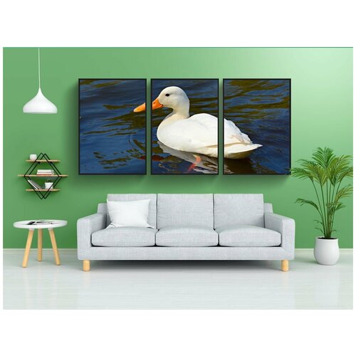 фото Набор модулных постеров для интерьера "белая утка, кряква, водоплавающая птица" 60x90 см. в тубусе, без рамки lotsprints