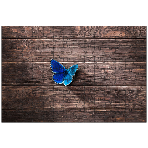 фото Магнитный пазл 27x18см."бабочка, крыло, насекомое" на холодильник lotsprints