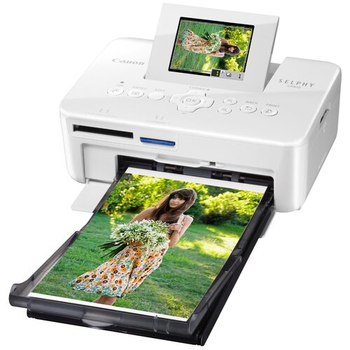 Лазерный Сублимационный Принтер Canon SELPHY CP810 цветная печать 265000₽