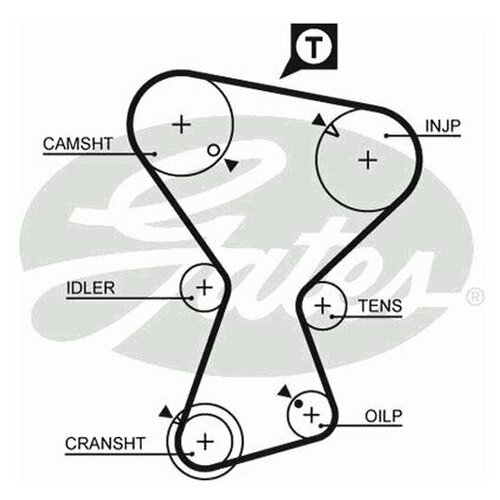 фото Зубчатый ремень для mitsubishi galant v,vi, lancer iv,v, space runner, space wagon (производитель: gates 5375xs)