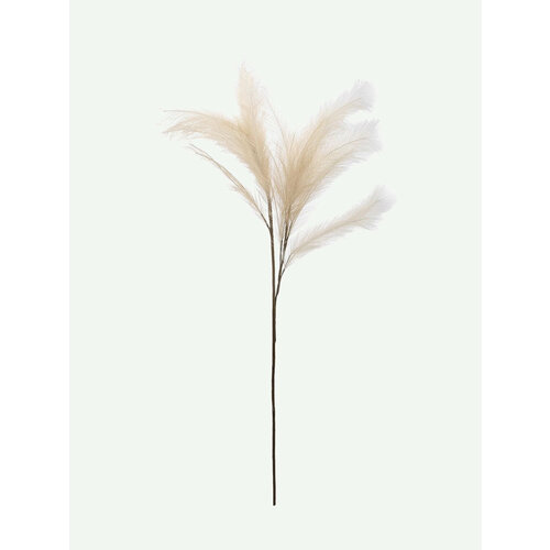 EDG 68427014 Ветка травы пампа, 130 см