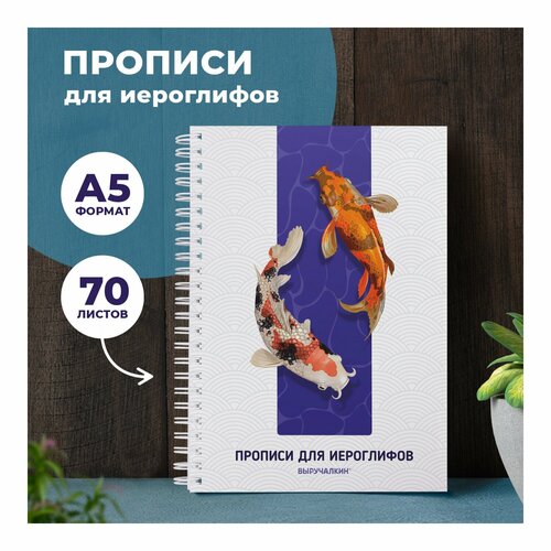 Тетрадь для иероглифов пропись Выручалкин 616₽