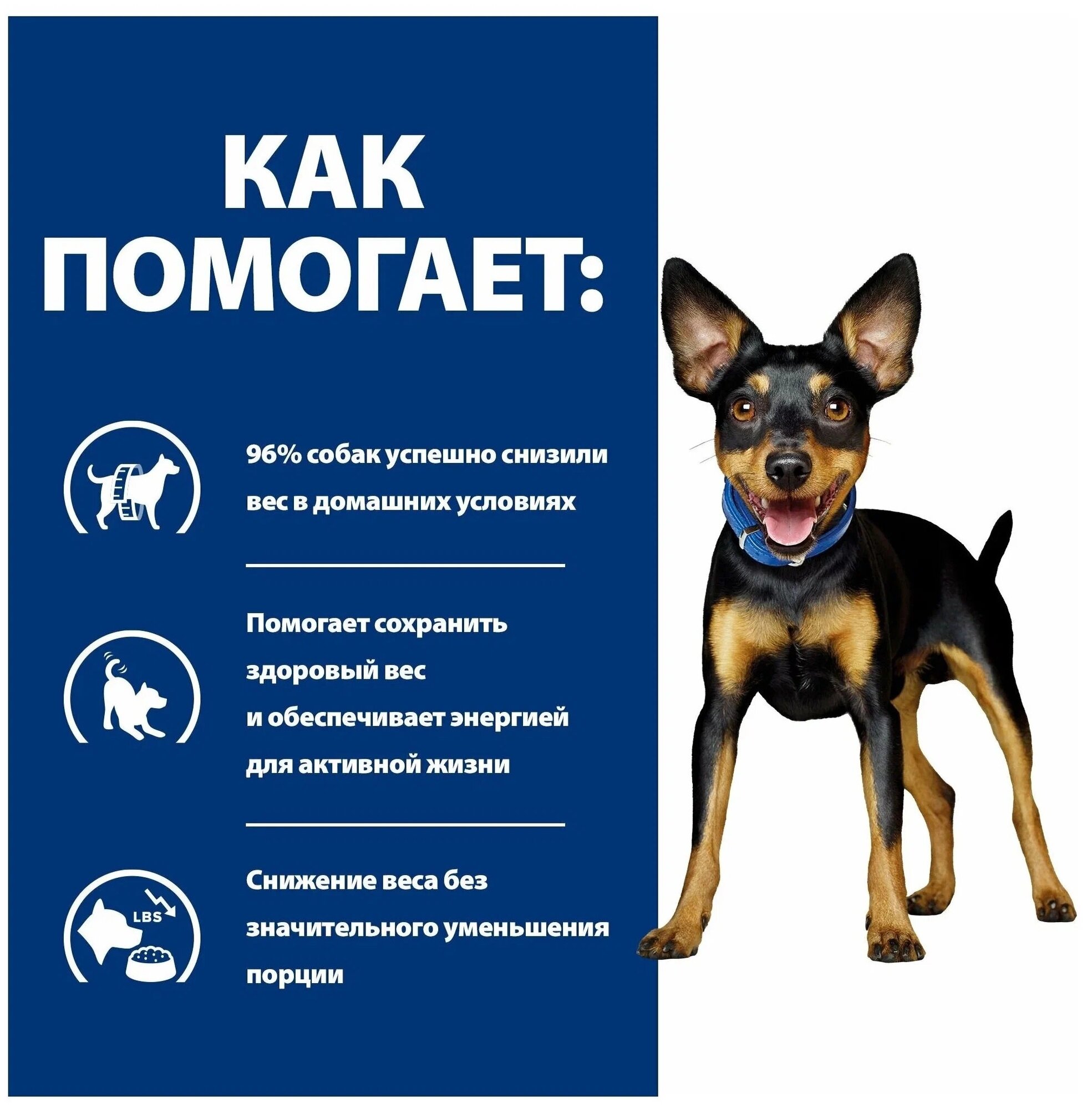 Хиллс 606378 Диета сух. д/собак Metabolic Mini для коррекции веса 1кг — фото 1