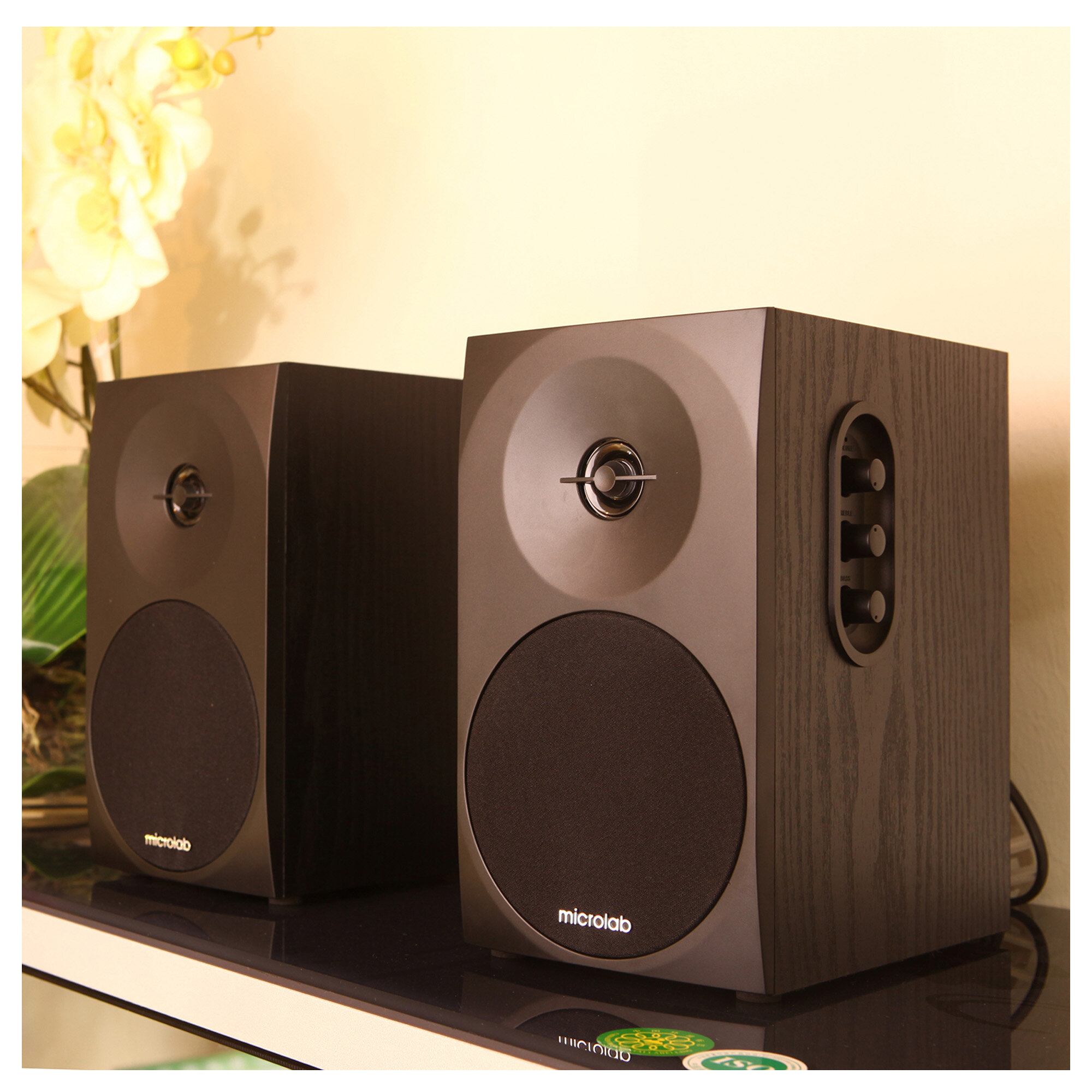 Компьютерные колонки Microlab B70BT Black