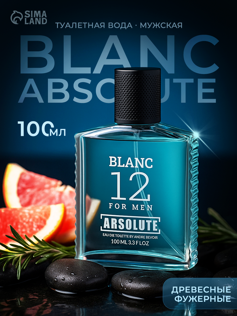 Туалетная вода мужская Absolute Blanc 12 100 мл, древесный фужерный аромат