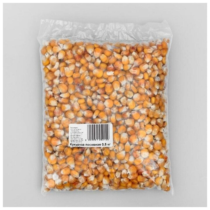 Семена Кукуруза посевная, 0,5 кг 5145214