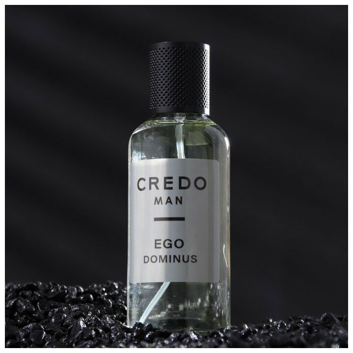 Delta parfum Туалетная вода мужская Credo Man Ego Dominus