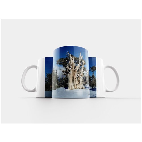 фото Кружка "невада, пейзаж, живописный" 320 мл lotsprints