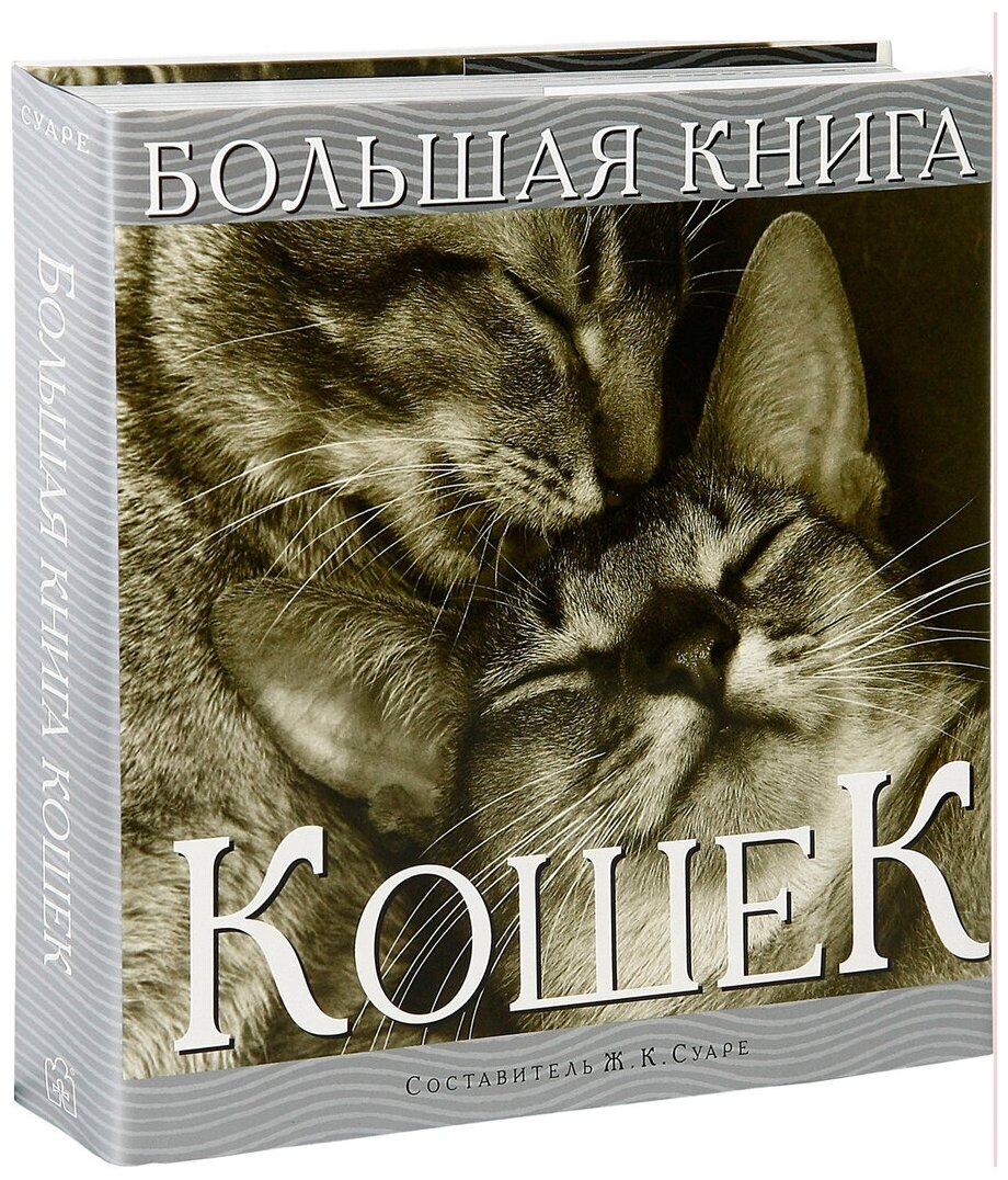 Большая книга кошек (Суаре Жан Клод) - фото №2