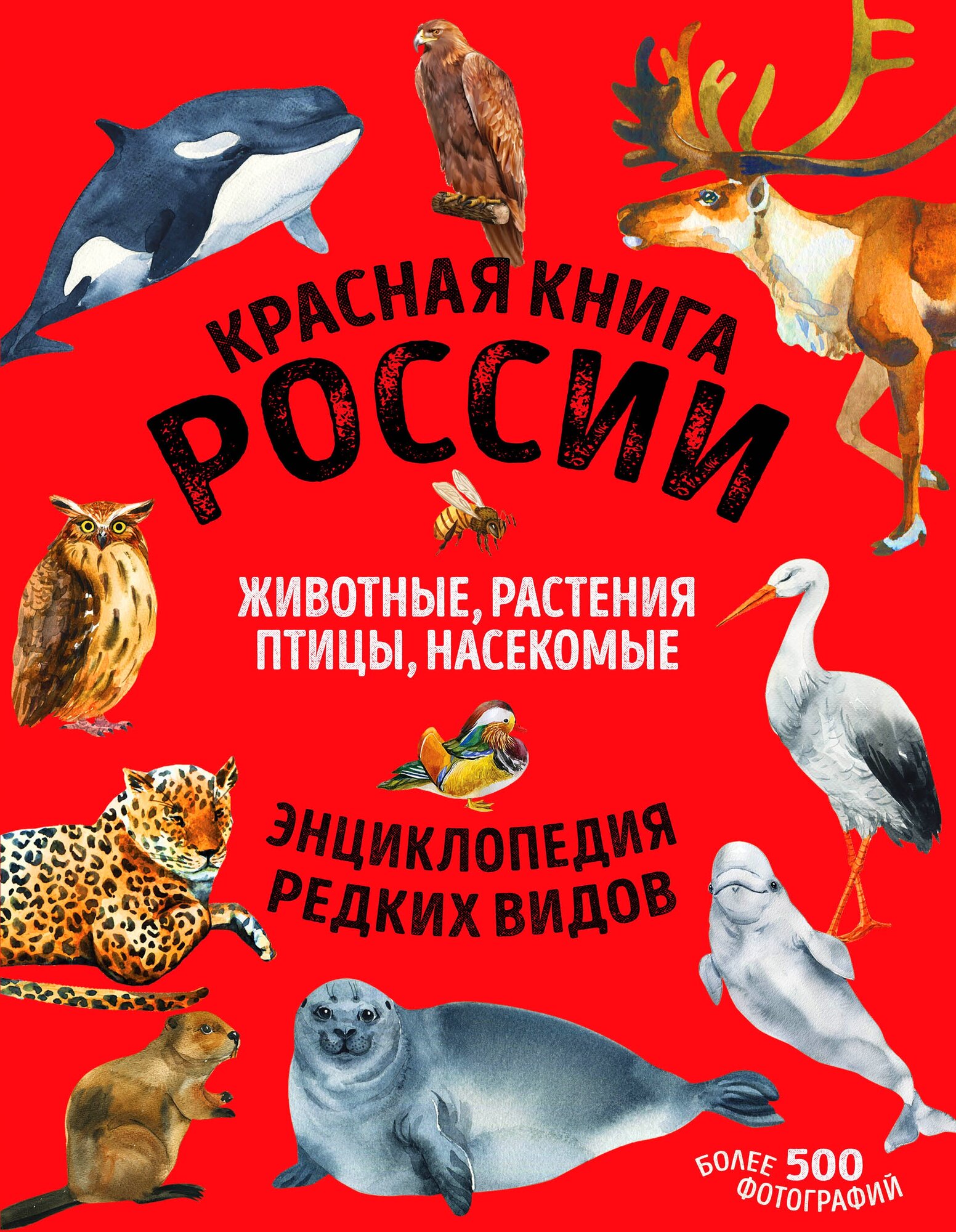 Красная книга России животные растения птицы насекомые Энциклопедия редких видов - фото №1