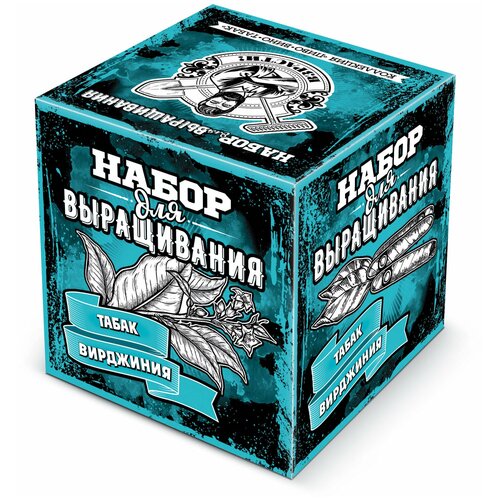 Подарочный набор для выращивания экоклуб 