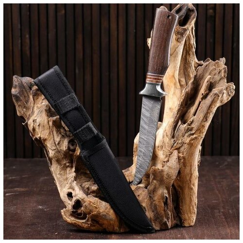 фото Нож охотничий "сибиряк" 27 см, мастер к.