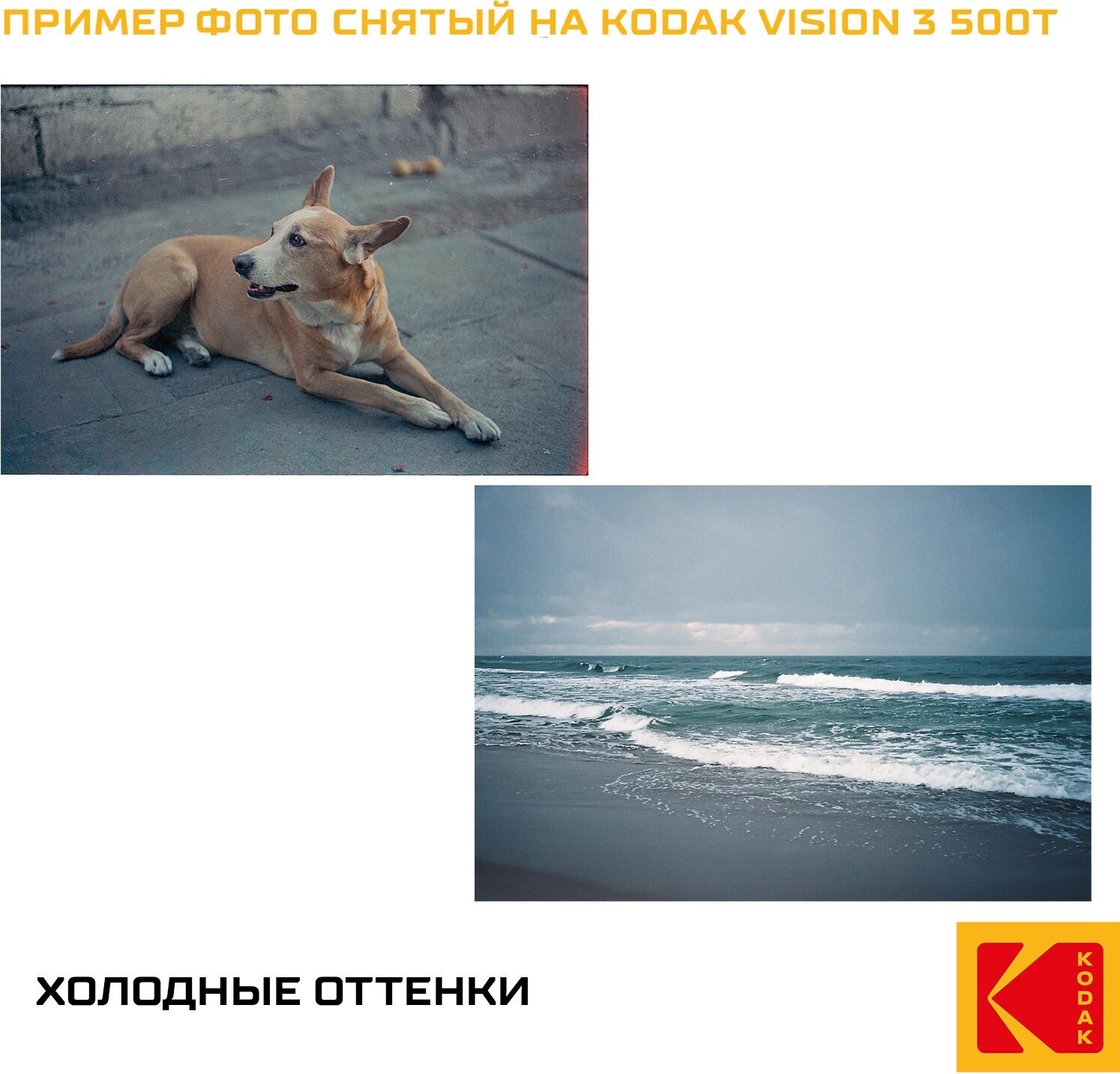 Фотопленка свежая Kodak Vision 3 500T/ 24 кадра