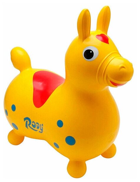     ORTO RODY 