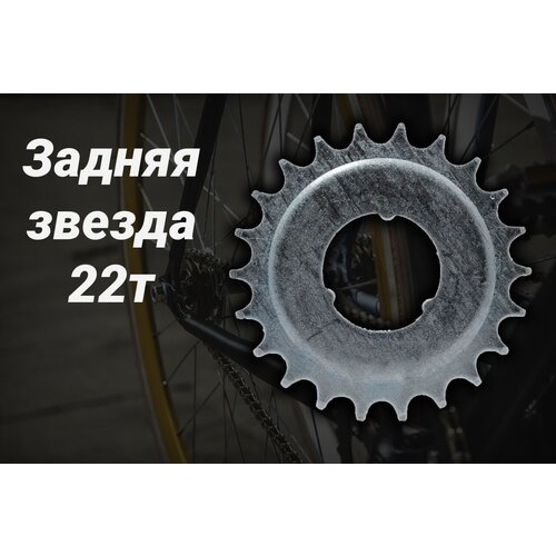 Звезда задняя 22 зуб, Coster