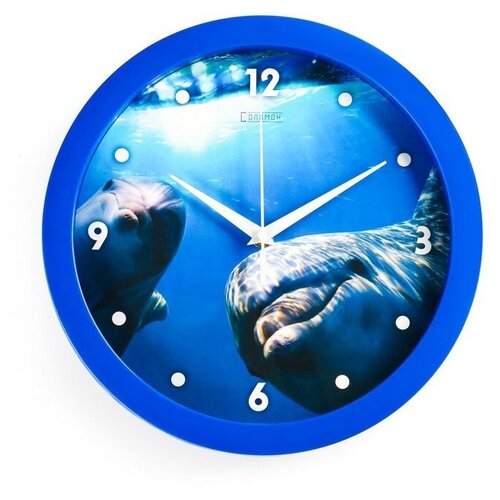 Часы настенные, серия: Животный мир, "Дельфин", плавный ход, d=28 см