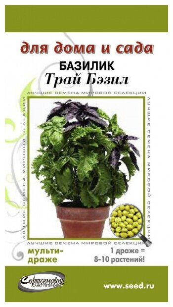 Базилик Трай Бэзил смесь (мультидраже), 3 семян