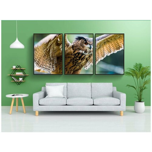 фото Набор модулных постеров для интерьера "уху, bubo bubo, сова" 60x90 см. в тубусе, без рамки lotsprints