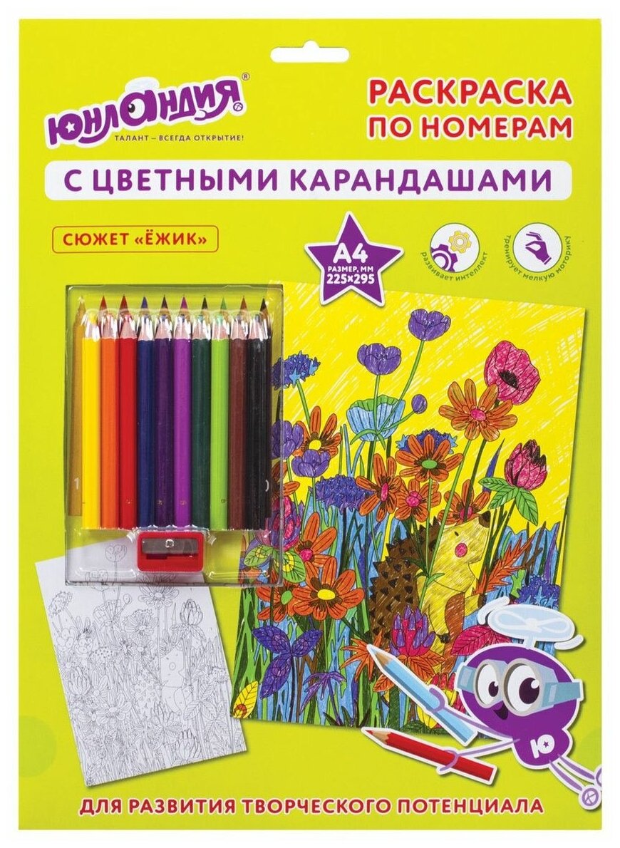 Раскраска по номерам А4, ежик, С цветными карандашами, на картоне, Юнландия (661608)