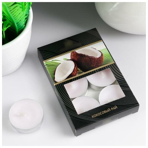 --- Набор чайных свечей ароматизированных "Кокосовый рай" в подарочной коробке, 6 шт