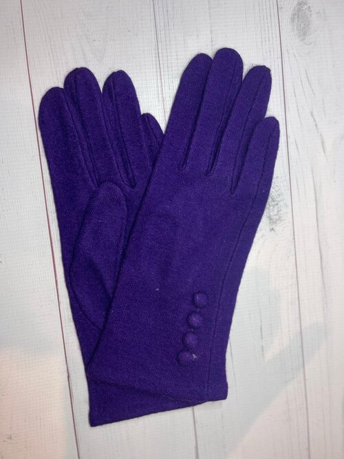 Перчатки , демисезон/зима, утепленные, сенсорные, размер OneSize, фиолетовый