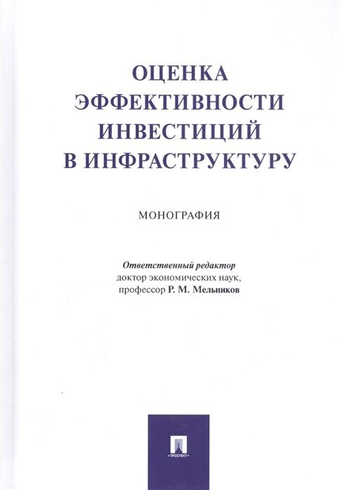 Оценка эффективности инвестиций в инфраструктуру. Монография