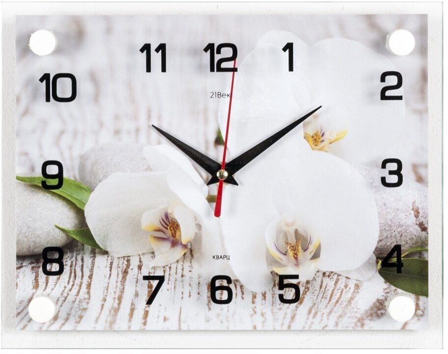 Часы настенные Рубин "Спа. Белые орхидеи" (2026-113)