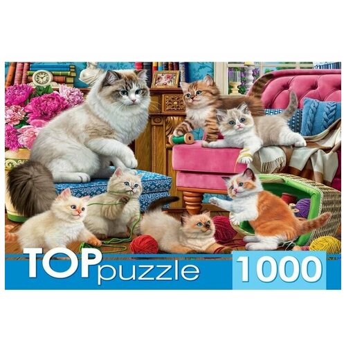 фото Пазл озорные котята, 1000 элементов toppuzzle