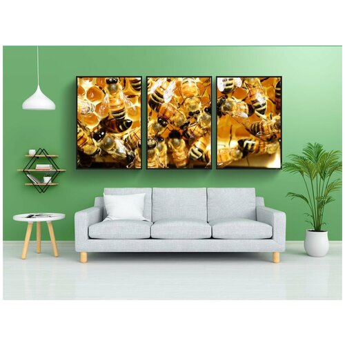 фото Набор модулных постеров для интерьера "медоносных пчел, соты с медом, пчелы" 60x90 см. в тубусе, без рамки lotsprints