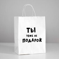 Пакет подарочный с приколами «Ты тоже не подарок », 24 х 10,5 х 32 см, 1 шт.