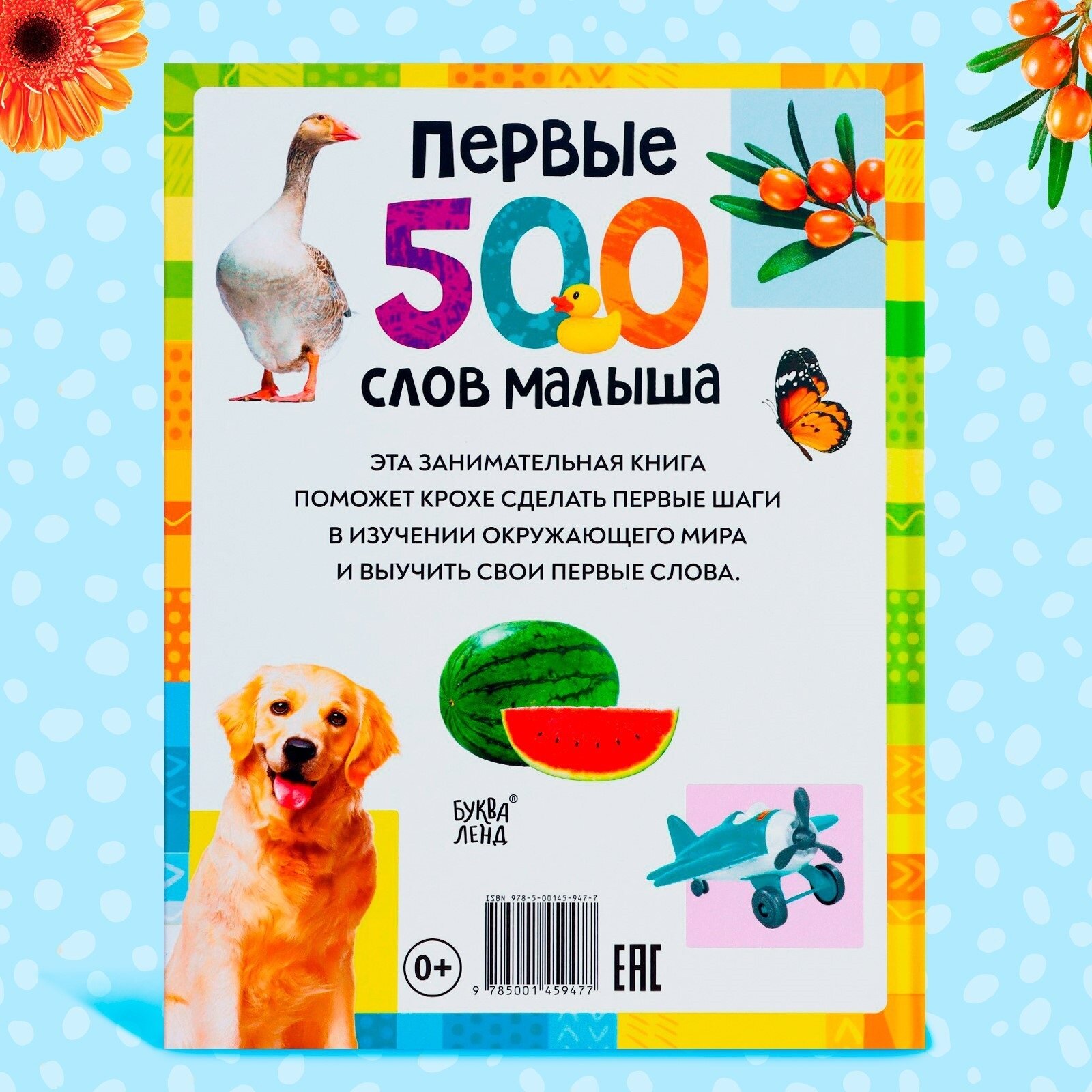 Книга детская "Первые 500 слов малыша", 80 стр.