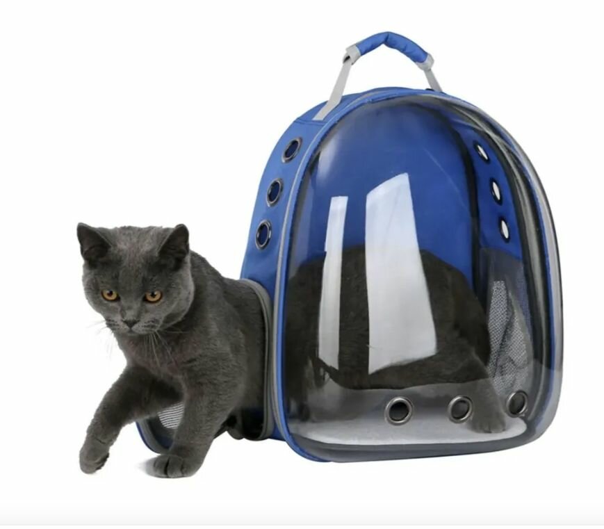 Картинки MILENI Рюкзак-переноска для кошек и собак с панорамным иллюминатором / Рюкзак переноска для животных