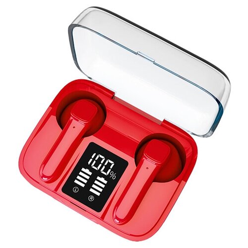 BandRate Smart BRSTWSMIR2R 299000₽