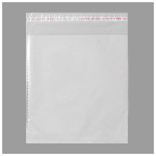 Пакет бопп с клеевым клапаном, прозрачный 18 х 18/4 см, 25 мкм (100шт.)