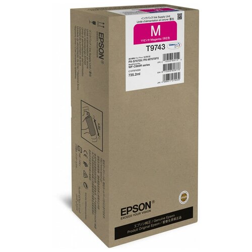 Чернила Epson C13T974300