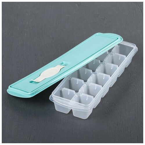 Форма для льда голубой