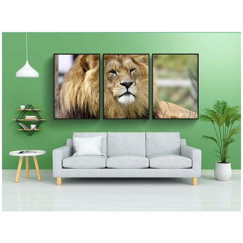 фото Набор модулных постеров для интерьера "лев, большой кот, большой" 60x90 см. в тубусе, без рамки lotsprints