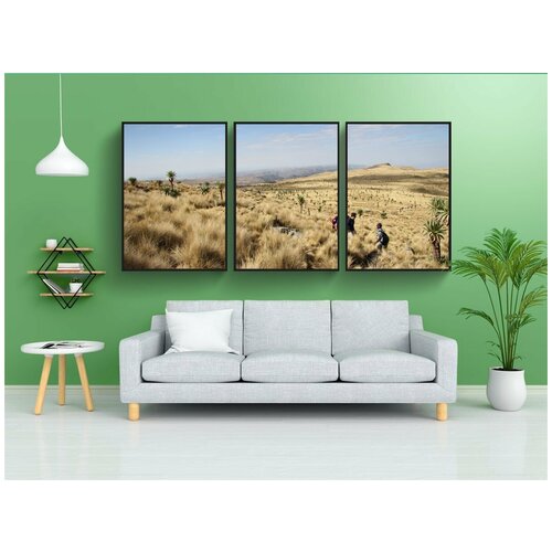 фото Набор модулных постеров для интерьера "эфиопия, обезьяна, треккинг" 60x90 см. в тубусе, без рамки lotsprints