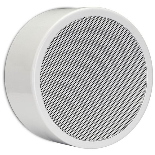 Акустика универсальная трансляционная Apart EN-SM6T10-W 1308900₽