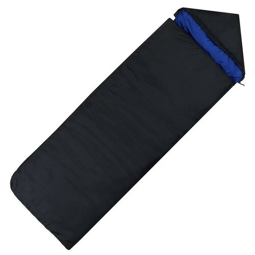 Спальник Эконом 3 сл 210 х 70 см от -5 до 10 С 2015800₽