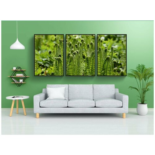 фото Набор модулных постеров для интерьера "папоротник, листья папоротника, судно sporenpflanze" 60x90 см. в тубусе, без рамки lotsprints
