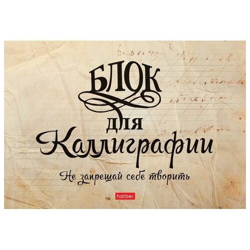 Hatber Прописи для каллиграфии Не запрещай себе творить, 48л, A5, бумага офсетная 70г/м2, на скобе