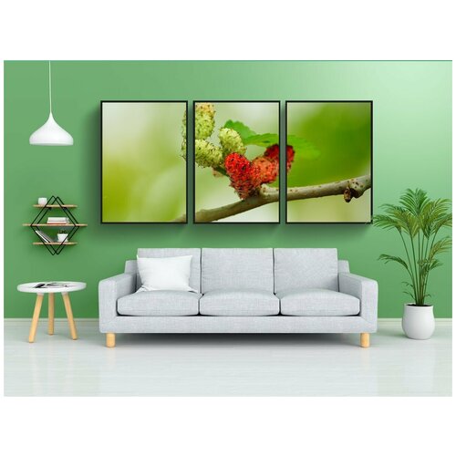 фото Набор модулных постеров для интерьера "тута, красный, фрукты" 60x90 см. в тубусе, без рамки lotsprints