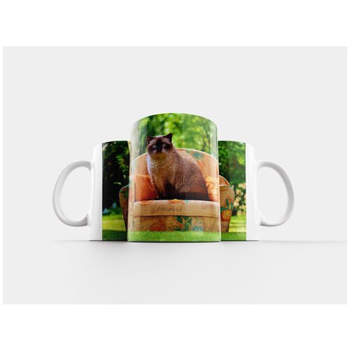 фото Кружка "диван, кот, британская короткошерстная кошка" 320 мл lotsprints