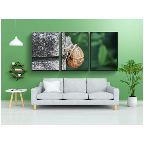 фото Набор модулных постеров для интерьера "улитка, оболочка, ползать" 60x90 см. в тубусе, без рамки lotsprints