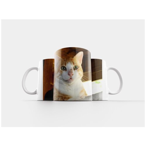 фото Кружка "кот, цветной, шерсть" 320 мл lotsprints