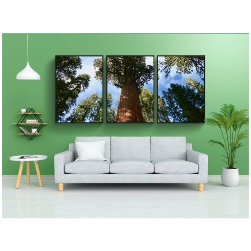 фото Набор модулных постеров для интерьера "секвойя, секвойядендрон, национальный парк секвойя" 60x90 см. в тубусе, без рамки lotsprints